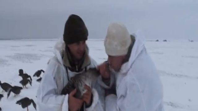 Аккерманцы жгут! часть-2 смотреть онлайн
