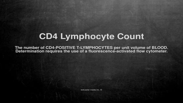 Medical vocabulary: What does CD4 Lymphocyte Count mean смотреть онлайн