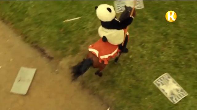 Начало эфира, реклама и анонсы (Комедия, 17.10.2019) смотреть онлайн