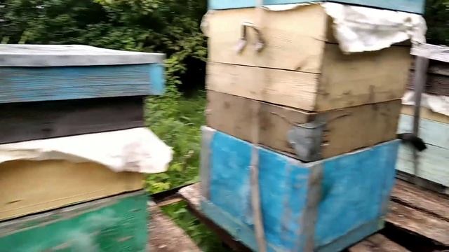 Перевозка пчёл 🐝🐝🐝 смотреть онлайн