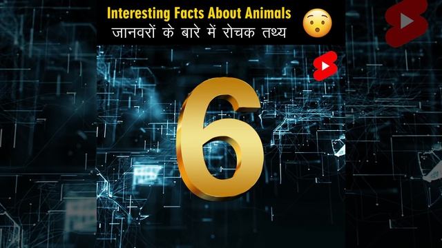 Animal Facts | Amazing Facts | Random Facts | Mind Blowing Facts in Hindi #Shorts смотреть онлайн