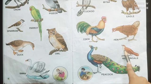 Kid learning Animal names in English | Fruits names in English water animals and insects names смотреть онлайн