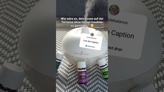 Wie wäre es, dein Essen auf der Terrasse ohne lästige Insekten zu genießen?”😊 смотреть онлайн