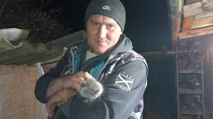 ЗАБЛУЖДЕНИЯ при разведении и содержании НУТРИЙ в домашних условиях. 2.12.24