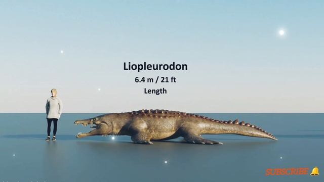 Ancient Marin Reptiles Size Comparison 3D