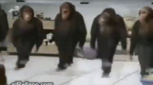 у у у у у у аа уу а