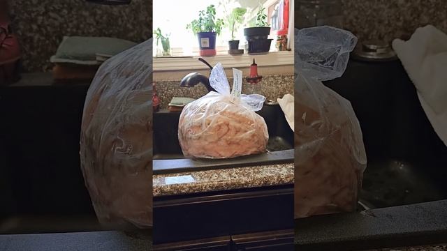 Pressure canning 200 lbs of tuna смотреть онлайн