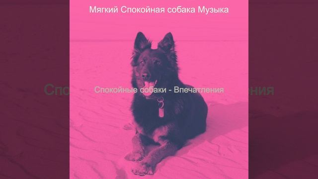 Созерцая (Милые Собаки) смотреть онлайн