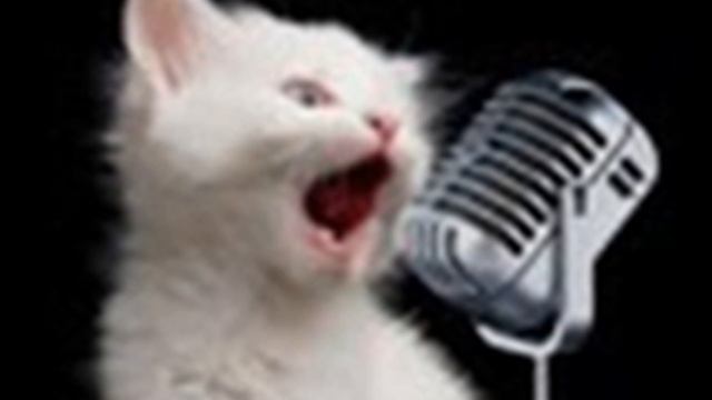 Deftones swerve city смотреть онлайн