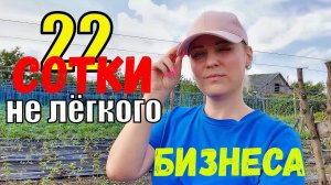 Овощеводы с нуля. Скоро ли увидим наш миллион?! Вдвоём не реально?