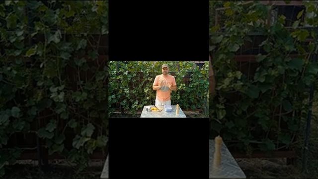 СКУМБРИЯ ОБАЛДЕТЬ Простой Рецепт)) смотреть онлайн