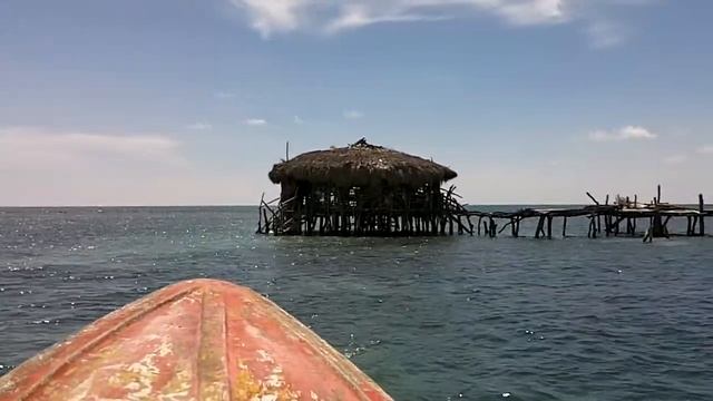 Rexy Sings on way to Pelican Bar смотреть онлайн