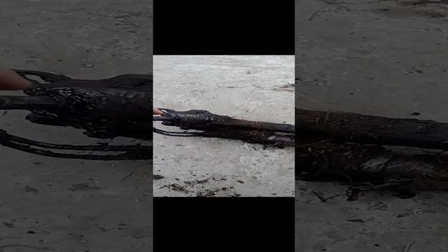 почему обязательно нужно блокировать руль при замене рулевой рейки на citroën picasso смотреть онлайн