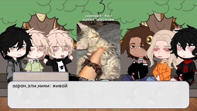 Реакция Всë ради игры на Нила как рандом смотреть онлайн