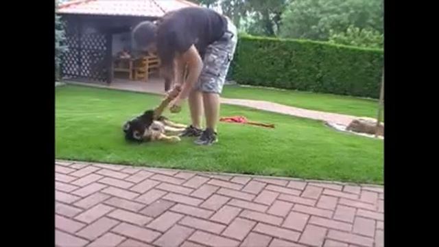 Nerko 2 смотреть онлайн