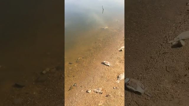 Торбеево озеро смотреть онлайн