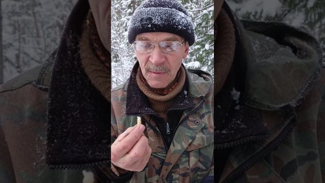 Что можно есть в лесу зимой? смотреть онлайн