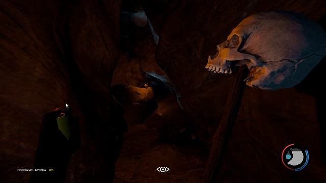 Animal Team | Первые шаги