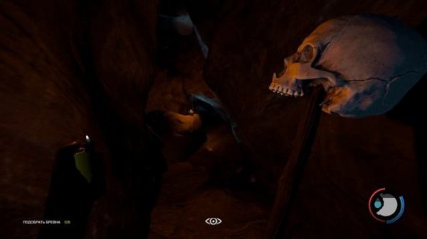 Animal Team | Первые шаги