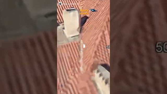 Shark Attack pt 2 🤯🦈😱 on google earth and google maps 🌎 #sygoogleearth #shark #shots @SYGoogleEarth смотреть онлайн