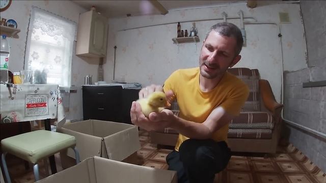 Затишье перед бурей смотреть онлайн