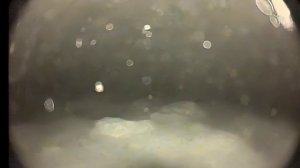 рыба на глубине 5,5 метров на камеру Fishing Hero v 3.0