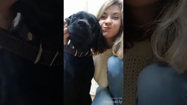 Жопа моя смотреть онлайн