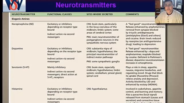 Neurotransmitter смотреть онлайн