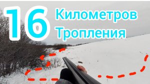 214-Охота на Зайца. 16-километров тропления.(08.01.2025)