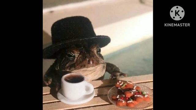 песня Without me с писклявом голосом смотреть онлайн