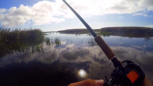 Обзор плетеного шнура Kosadaka Super Line PE