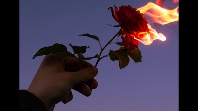Dedublüman & Mavzer Tabancası -Belki (Slowed - Reverb) 2022 смотреть онлайн