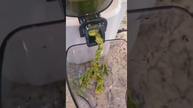 Green Juice!! смотреть онлайн