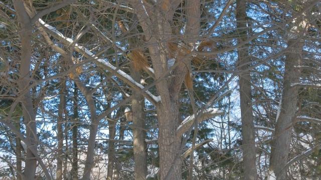 Panasonic G85 4K footage example смотреть онлайн