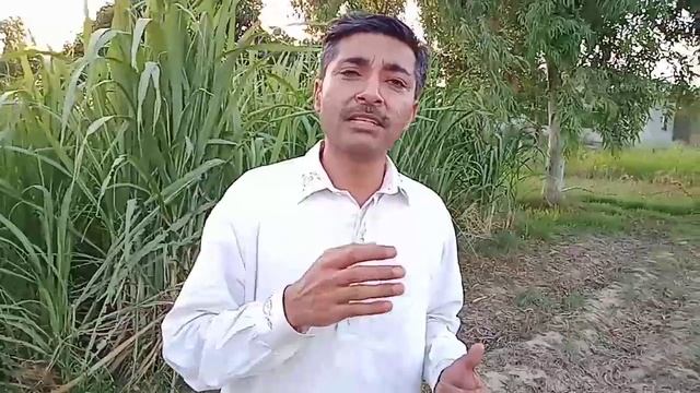 Zubair Chinioti Extra Nay Mera Channel Promote Kia | Shukria Zubair Bhai |Life and taste with Qaise смотреть онлайн