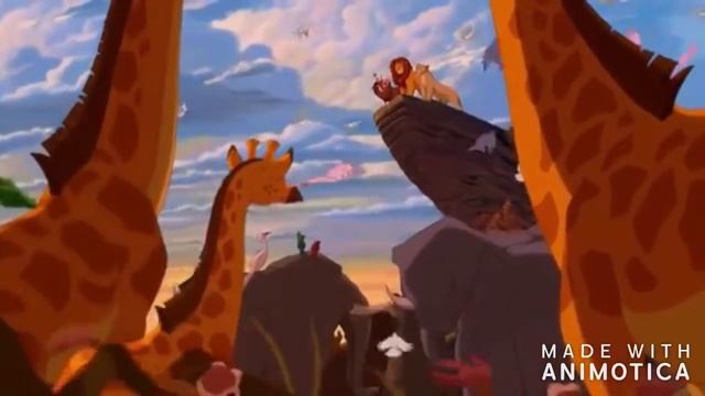 Timon and Pumbaa Rewind The Lion King🐗🐭🦆🐯🐱🐵😼🐲🐷🐶 смотреть онлайн