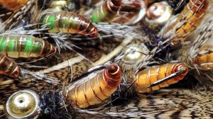 Неубиваемая мушка на хариуса. Мормышки на хариуса , гольца, ленка. caddis pupa