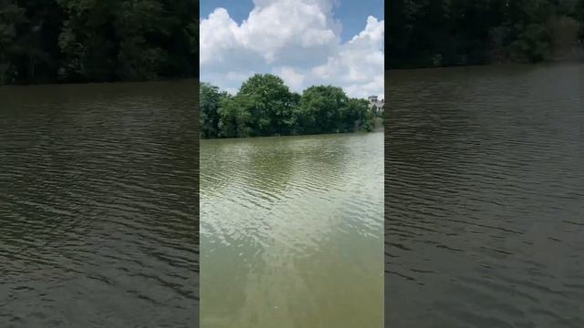 Краткий обзор 🤪 #краснодарскийкрай #рыбалка #карп #сазан #кайф смотреть онлайн