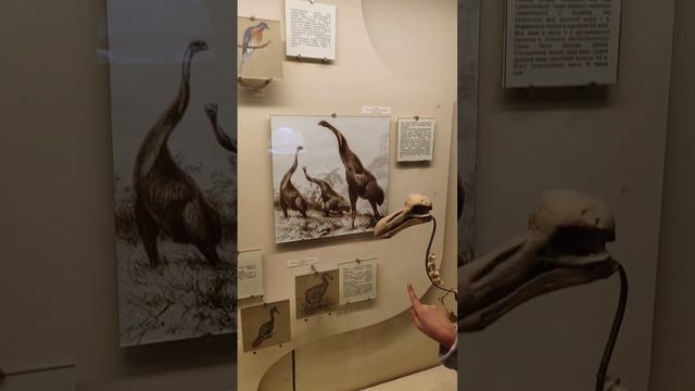 Moscow museums динозавры смотреть онлайн