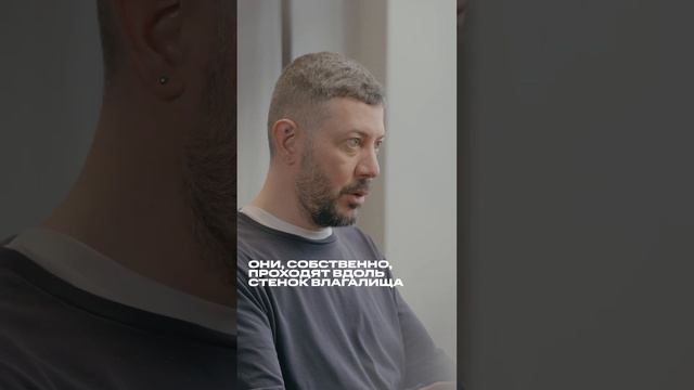 Лебедев про виды орга*ма смотреть онлайн