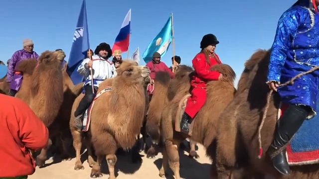Парад верблюдов смотреть онлайн