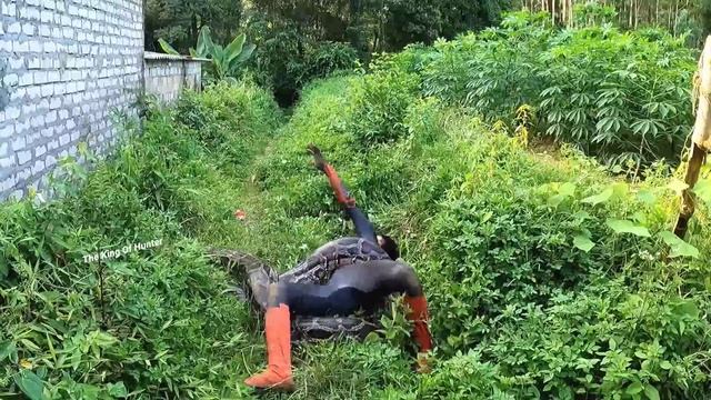 MONSTER HUNTER01 | Spider-Man Was Attacked By A Giant 300kg Python смотреть онлайн