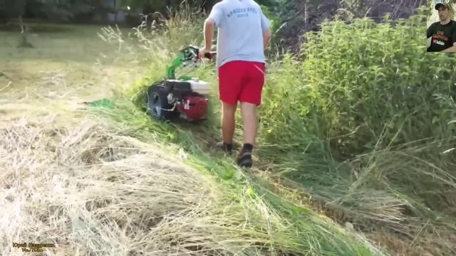 КАК И ЧЕМ КОСЯТ ТРАВУ В РАЗНЫХ СТРАНАХ МИРА #8 / GRASS CLEANING IN DIFFERENT COUNTRIES OF THE WORLD смотреть онлайн