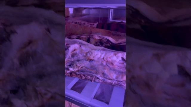 ЛУЧШЕЕ В МИРЕ МЯСО ФЛОРЕНТИЙСКИЙ СТЕЙК. ВЫЗРЕВАНИЕ #стейк #500супов #мясо #cooking #рецепт #шефшаро смотреть онлайн