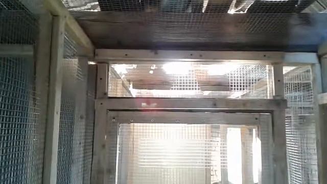 20170123 09375010 смотреть онлайн