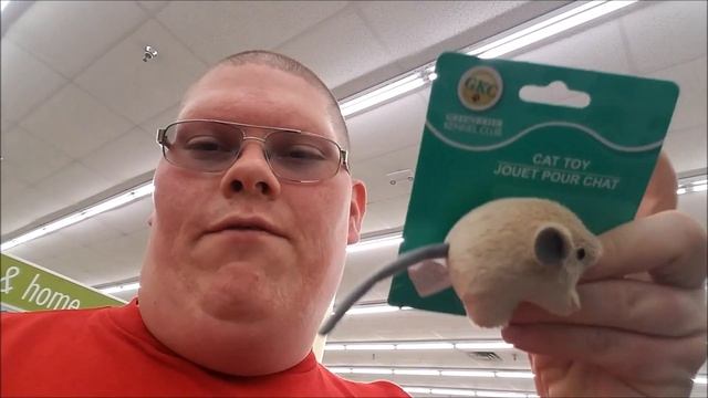 Vlog For April 13th 2017 - DOLLAR TREE REDUX!! смотреть онлайн