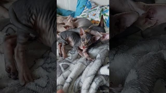1 месяц смотреть онлайн