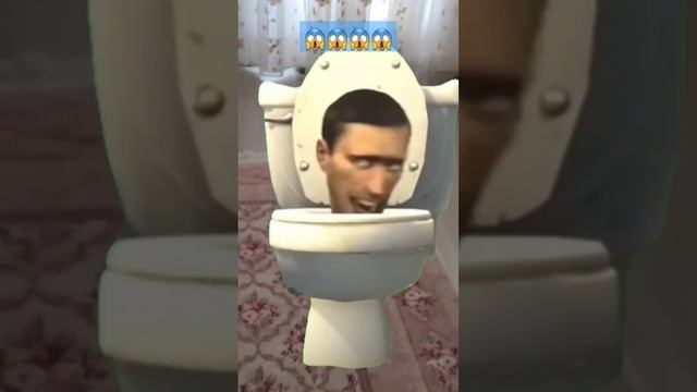скибиди туалет у меня дома😱! #catandpro #annaheim57 #котипро смотреть онлайн