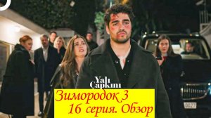 Зимородок 3. Серия 16. Обзор