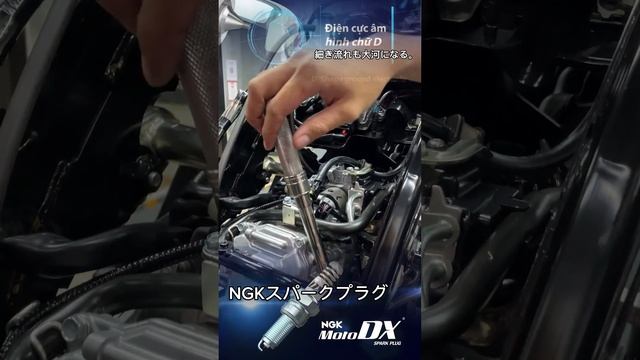 🎯Dịch vụ vệ sinh bảo trì miễn phí giành cho khách hàng sử dụng #ngk mẫu DX 🇯🇵 смотреть онлайн